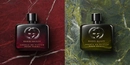 Ароматы Guilty Absolute Pour Femme и Guilty Absolute Pour Homme от бренда Gucci Ароматы Guilty Absolute Pour Femme и Guilty Absolute Pour Homme от бренда Gucci