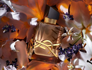 Женские духи YSL Libre Flowers and Flames