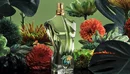 Мужские духи Jean Paul Gaultier Le Beau Paradise Garden