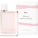 Аромат Her Blossom от бренда Burberry