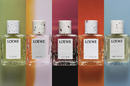 5 новых ароматов, вышедших в рамках коллекции Loewe Crafted Collection