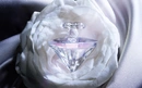 Парфюм для женщин Lancome La Nuit Tresor Musc Diamant
