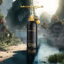 Парфюм для женщин и мужчин Montale Oud Island