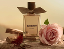 Аромат Rose Ember от бренда Burberry Аромат Rose Ember от бренда Burberry
