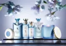 Аромат Eau Parfumee au The Bleu от Bvlgari