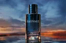 Аромат Christian Dior Sauvage