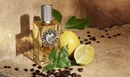 Аромат для мужчин Dolce &amp; Gabbana Devotion Pour Homme