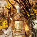 Аромат Guerlain Aqua Allegoria Forte Bosca Vanilla