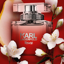 Аромат для женщин Karl Lagerfeld Rouge