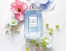 Туалетная вода Lanvin Water Lily