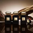 Ароматы Cuir Dore и Cuir Rubis от бренда Giorgio Armani