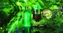 Аромат Molton Brown Wild Mint and Lavandin