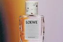 Унисекс-парфюм Loewe Rosetopia