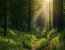 Глубокий лес, пропитанный запахом сырости и горечи – лучшая основа для неординарных духов