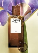 Мужские духи Loewe Solo Elixir Мужские духи Loewe Solo Elixir