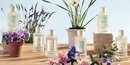 Ароматы коллекции коллекции Atelier des Fleurs от бренда Chloe