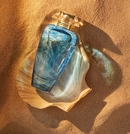 Аромат Cyprus Shell от бренда The Merchant of Venice