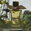 Духи для мужчин и женщин Burberry Golden Haze