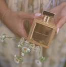 Аромат Summer Street от бренда House of Brandt