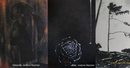 Картины художницы Юстины Нейман с её выставки Duftart