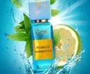 Аромат Pomelo Sorrento