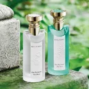 Ароматы Eau Parfumee the Vert EDT 2025 и Eau Parfumee the Blanc EDT 2025 от Bvlgari Ароматы Eau Parfumee the Vert EDT 2025 и Eau Parfumee the Blanc EDT 2025 от Bvlgari