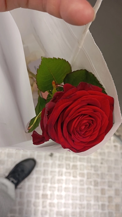 Prada Paradoxe Intense - отзыв в Москве