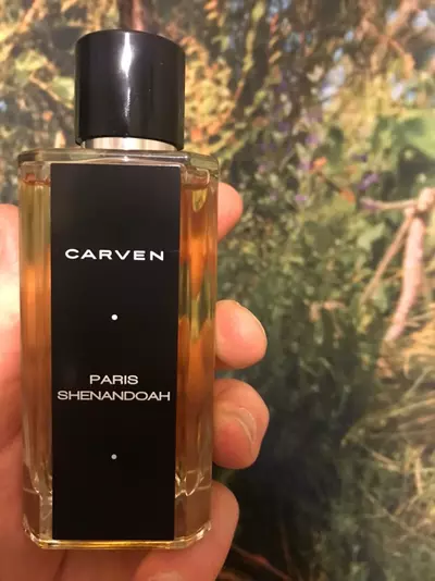 Carven Paris Shenandoah - отзыв в Магадане