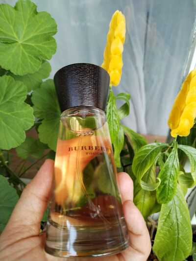 Burberry Touch For Women SpellSmell.ru