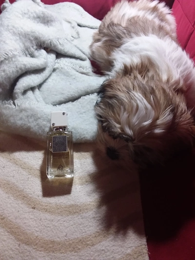 Lattafa Perfumes Ana Abiyedh - отзыв в Королеве