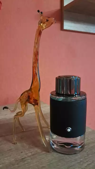 MontBlanc Explorer - отзыв в Ростове-на-Дону