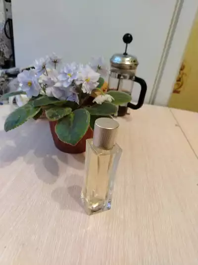 Lacoste Lacoste Pour Femme - отзыв в Щербинке