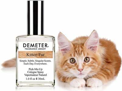 Demeter kitten fur hotsell