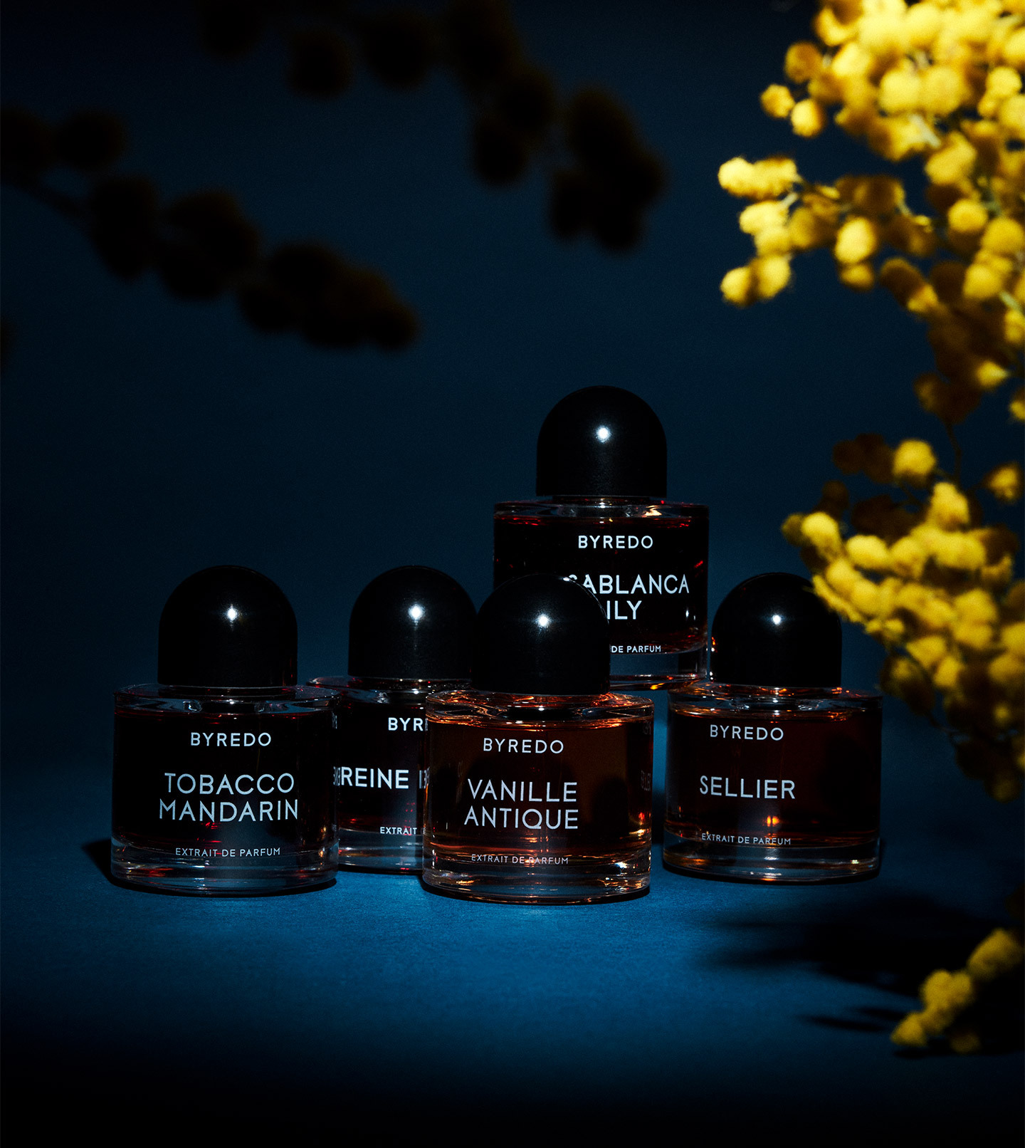 Линейка ароматов Casablanca Lily от Byredo