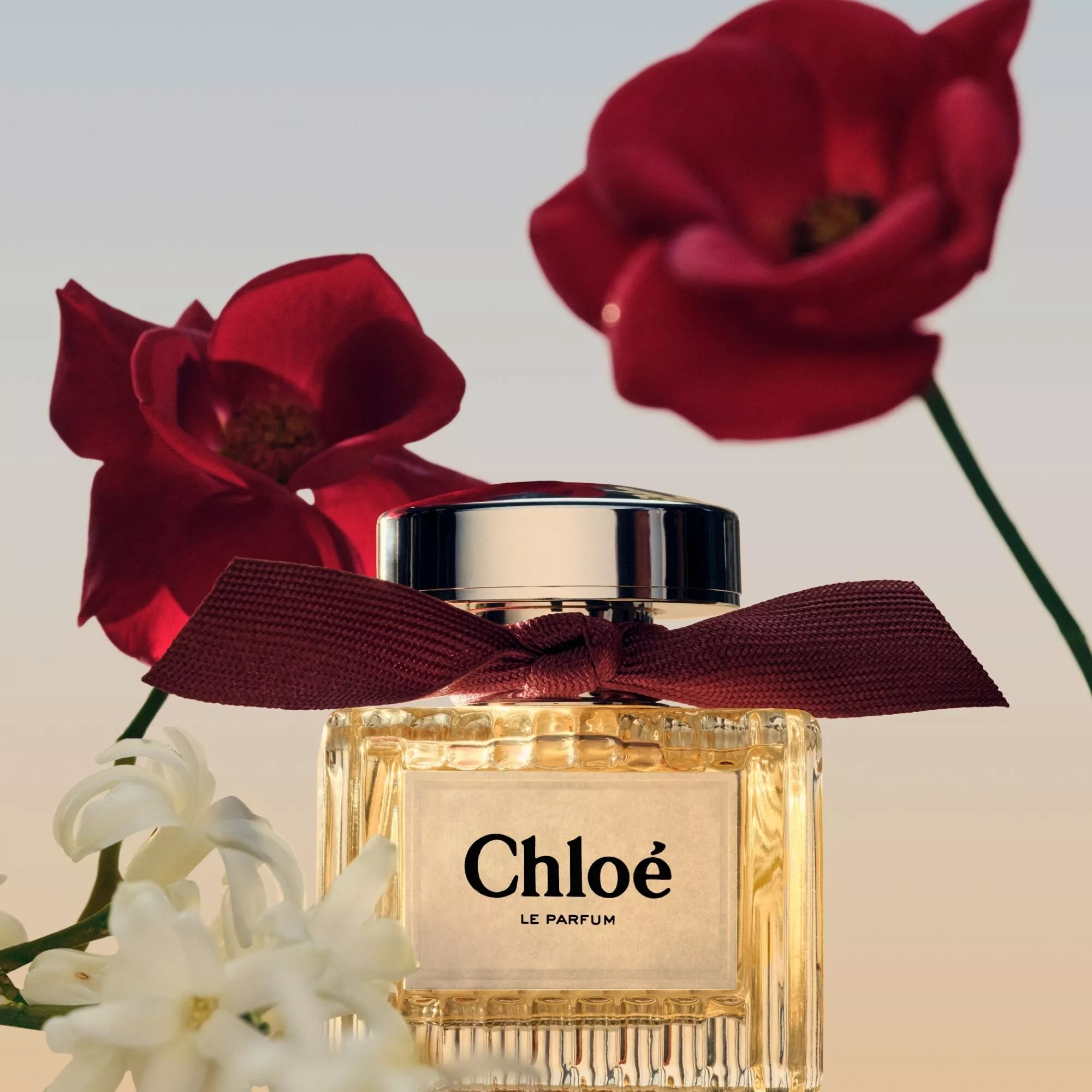 chloe net worth 2021 - Ilustrasi 3
