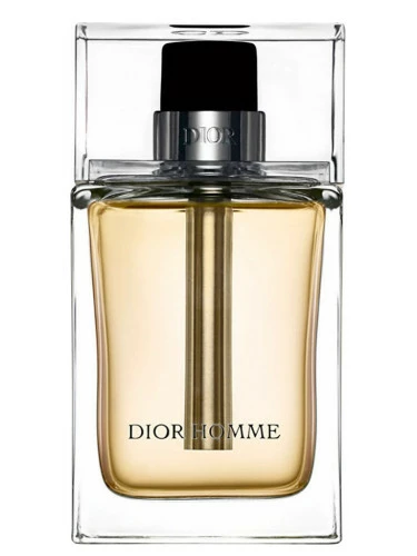 Мужские духи Christian Dior Homme