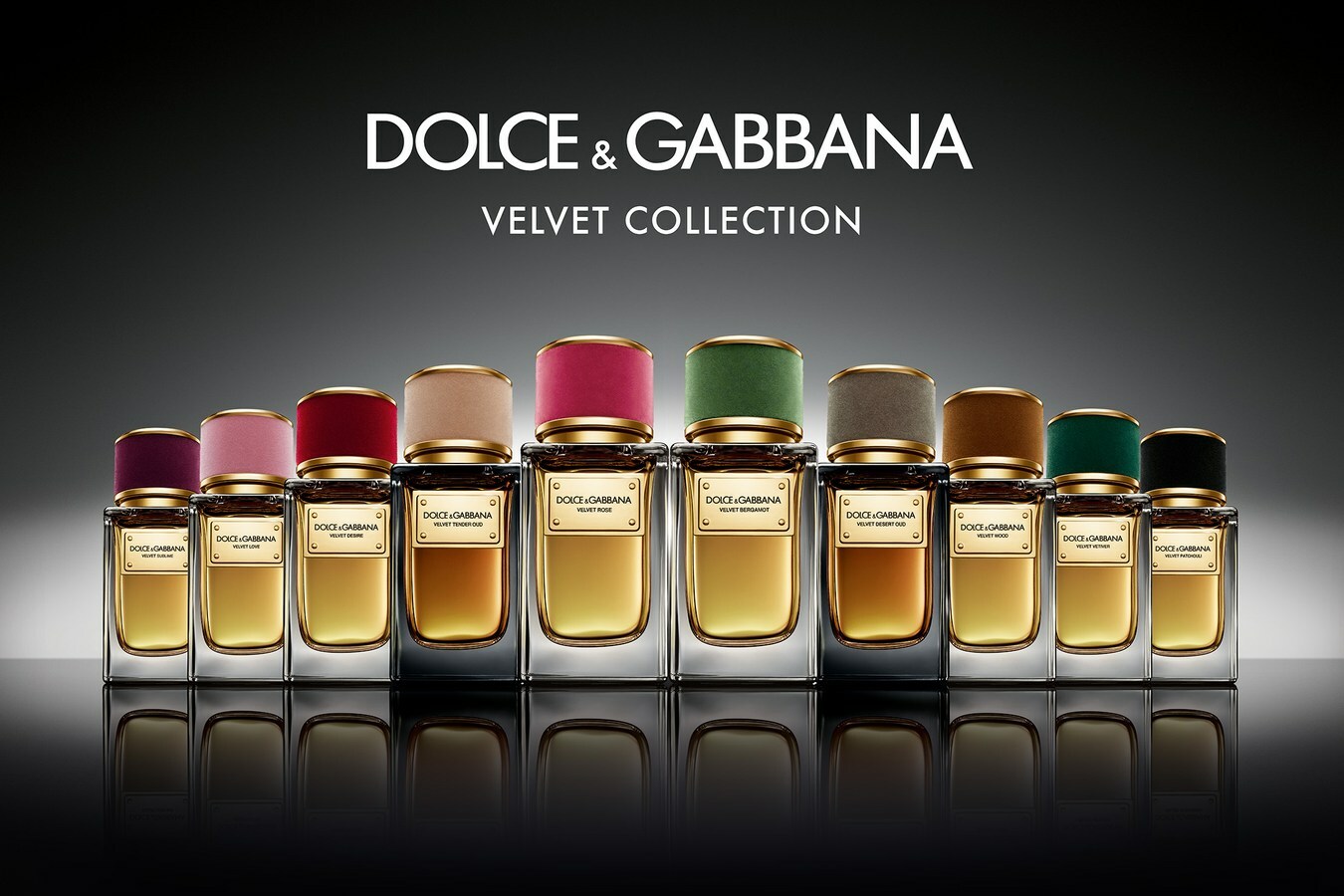 Парфюмерная коллекция Velvet от Dolce & Gabbana