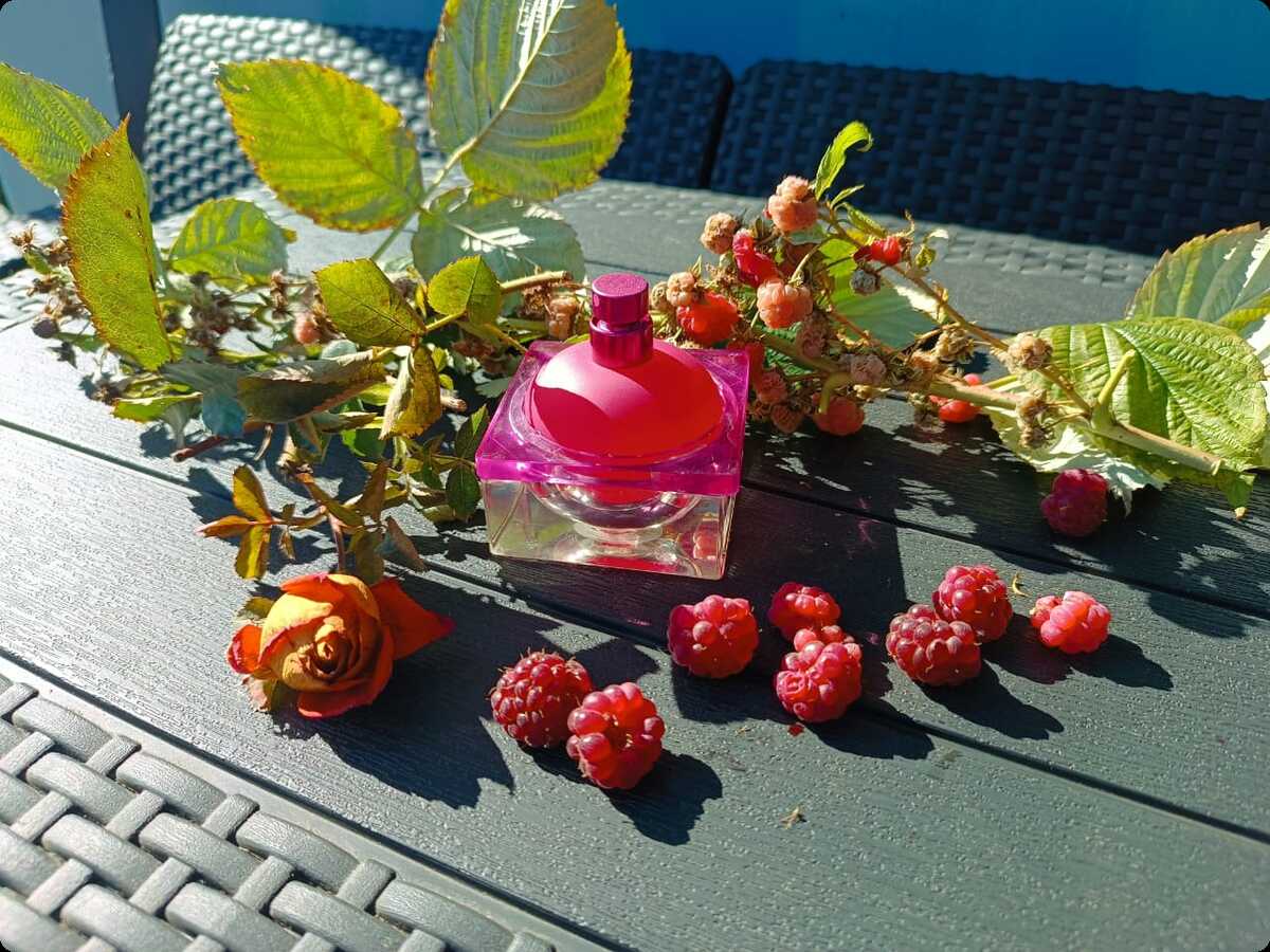 Roberto Verino VV Rose Туалетная вода 50 мл для женщин