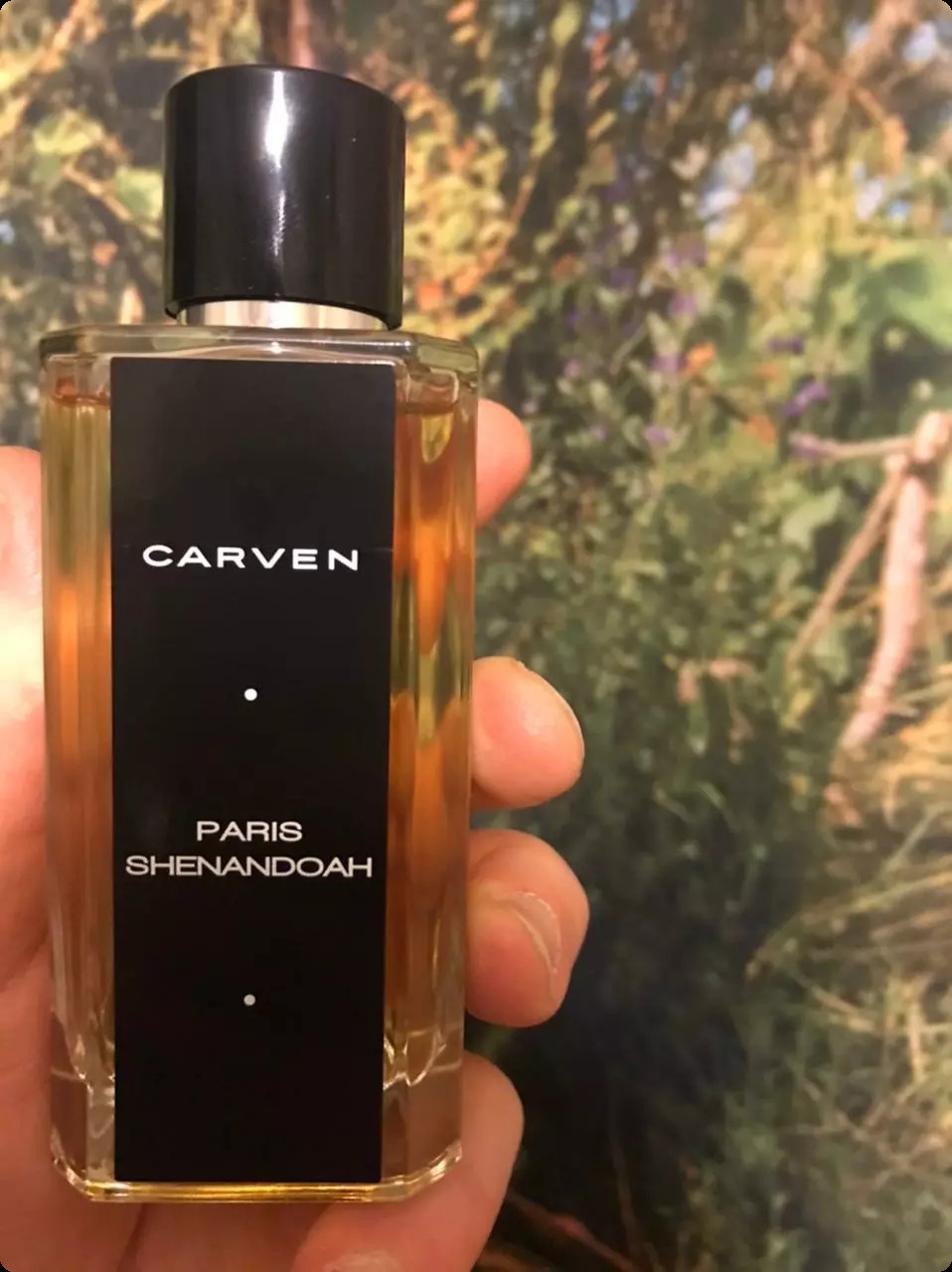 Carven Paris Shenandoah Парфюмерная вода 125 мл для мужчин