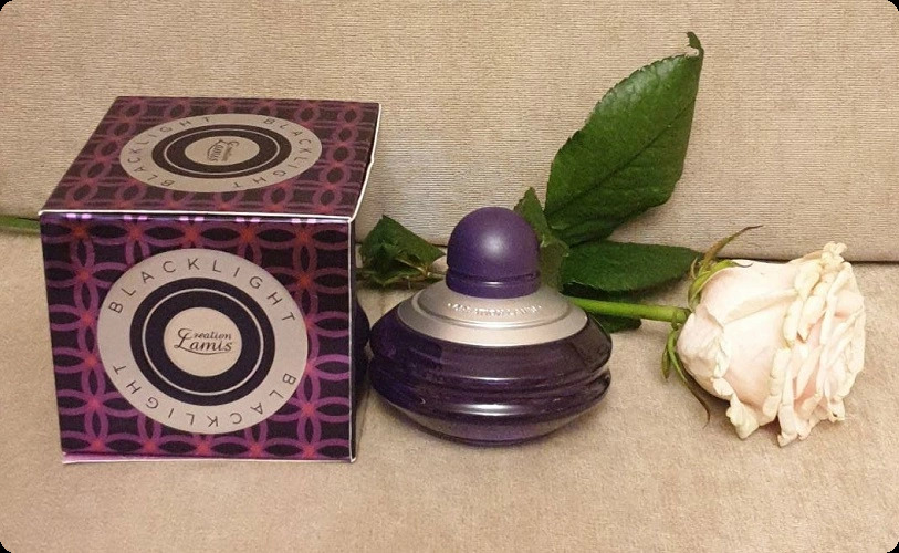 Creation Lamis Black Light Парфюмерная вода 100 мл для женщин