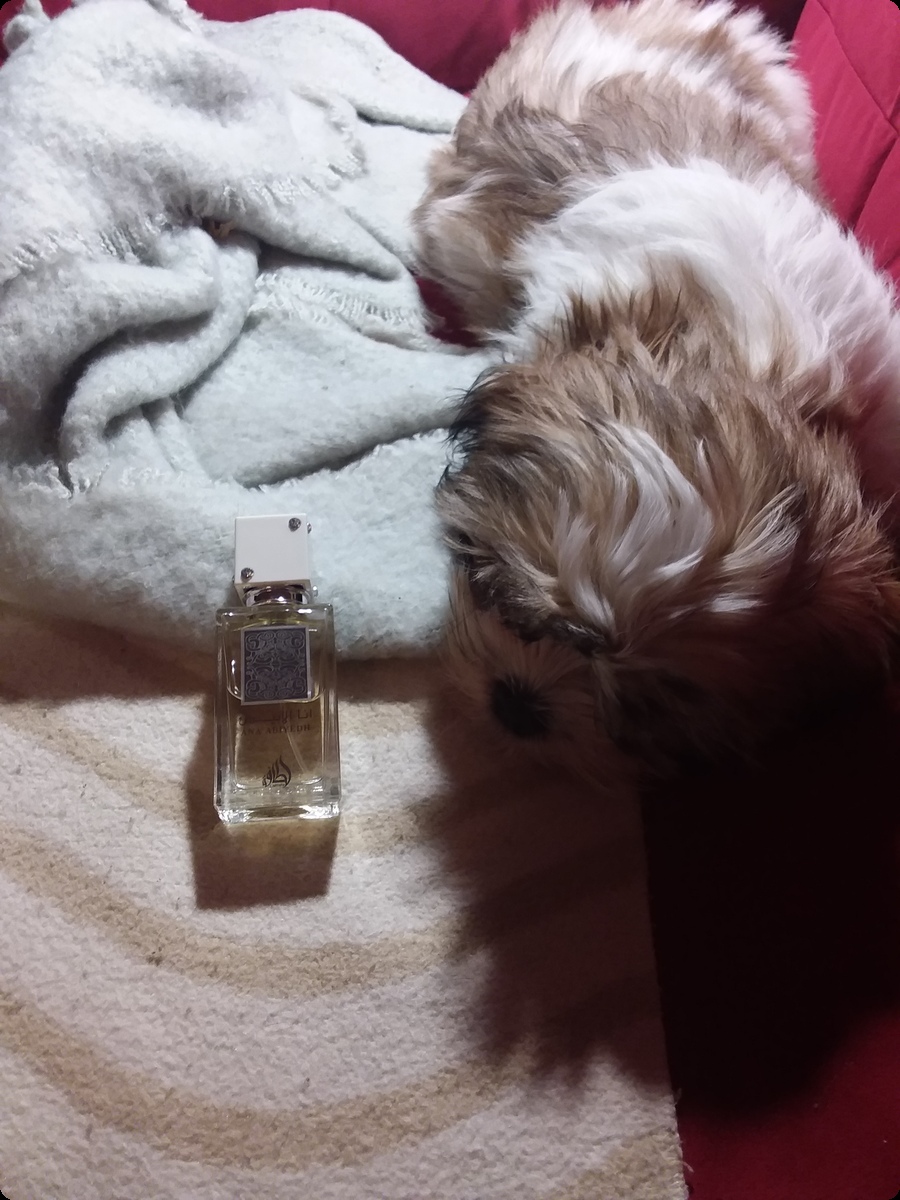 Lattafa Perfumes Ana Abiyedh Парфюмерная вода 30 мл для женщин и мужчин