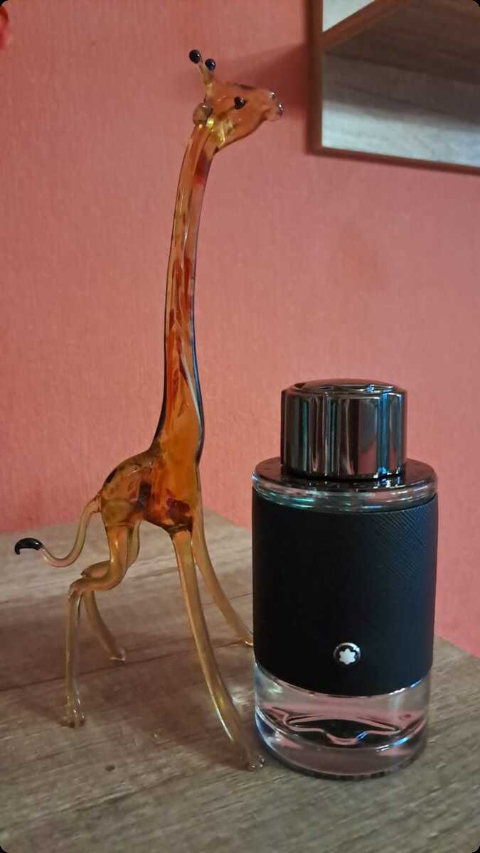 MontBlanc Explorer Парфюмерная вода 100 мл для мужчин