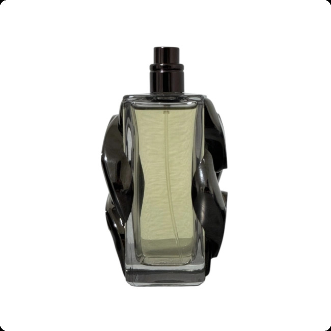 Michael Kors Pour Homme Absolu Парфюмерная вода (уценка) 100 мл для мужчин