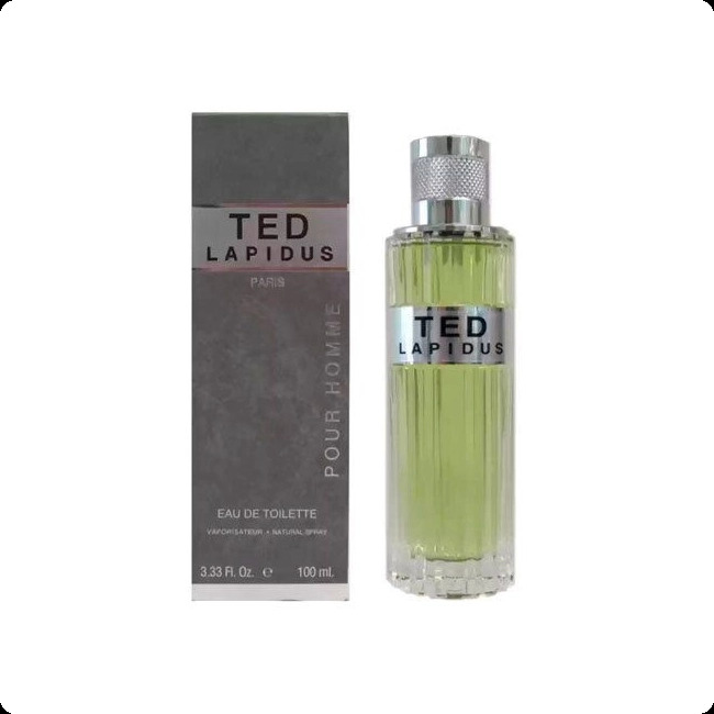 Ted Lapidus Ted Туалетная вода 100 мл для мужчин
