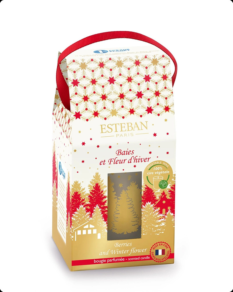 Esteban Berries and Winter Flower Свеча 180 гр для женщин и мужчин