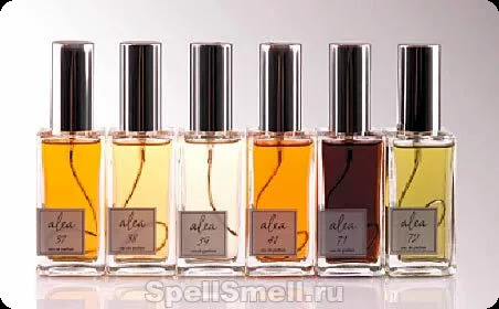 Би зет парфюмс Алеа 38 для женщин и мужчин - фото 1