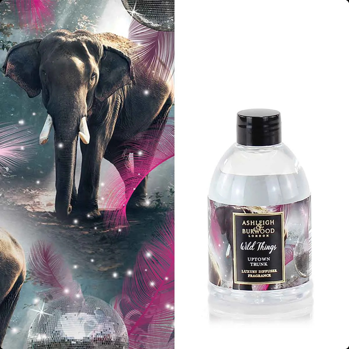 Эшли и бёрвуд Аптаун транк для женщин и мужчин