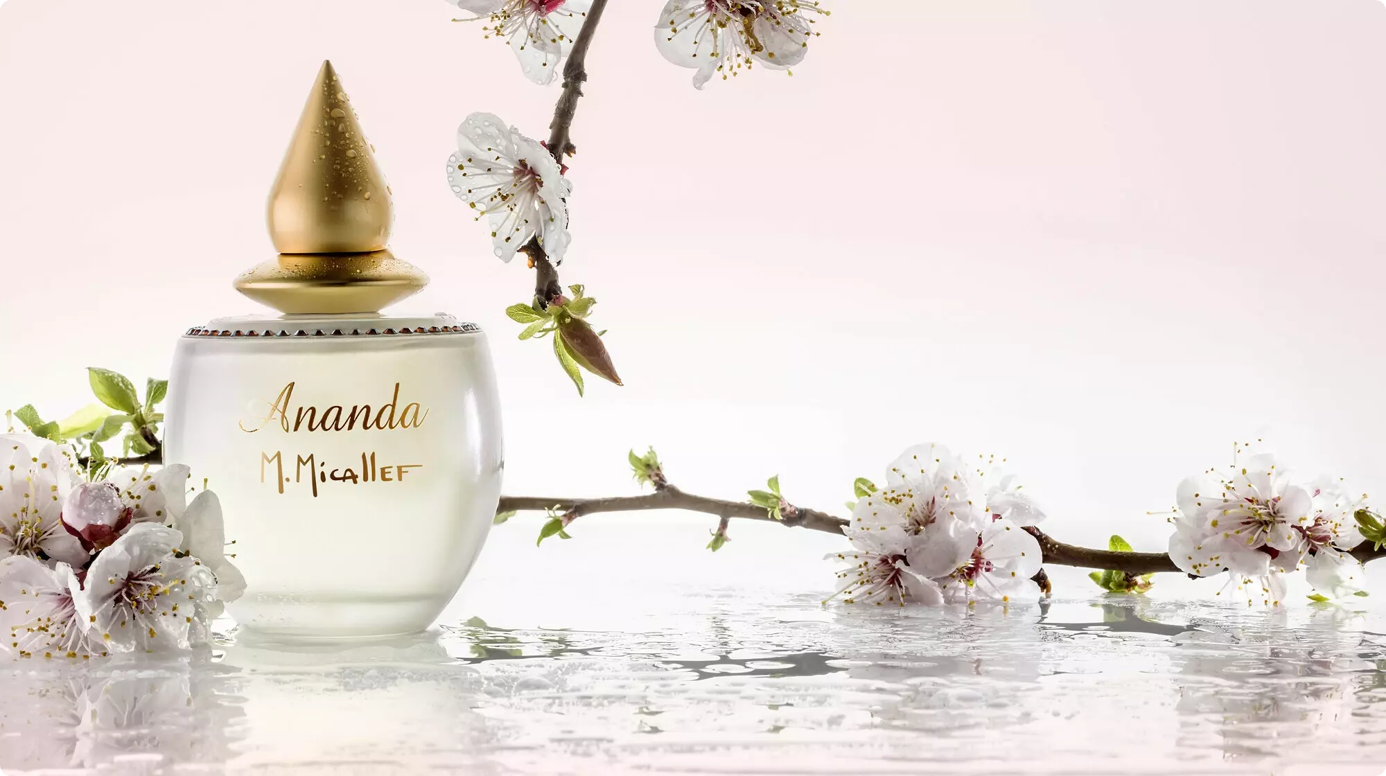 Maison Micallef духи Ananda. Micallef Ananda 100 ml. M.Micallef / Ananda EDP 100ml. Micallef Ananda 10 ml.