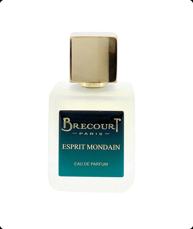 Brecourt Esprit Mondain Парфюмерная вода (уценка) 50 мл для мужчин