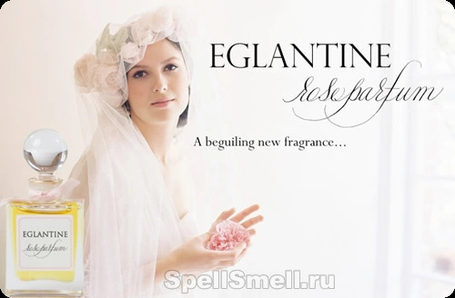 Эрика элизабет дизайнс Эглантин роуз парфюм для женщин - фото 1
